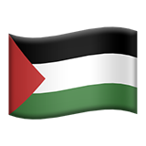 Palestine Flag